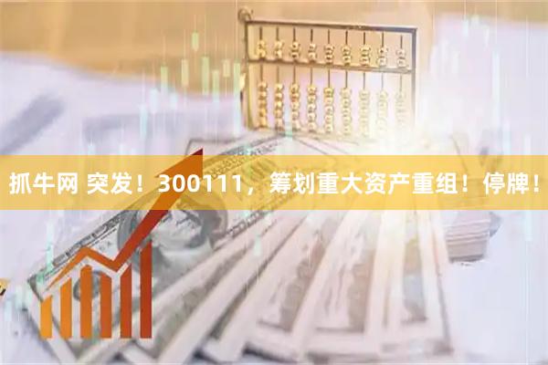 抓牛网 突发！300111，筹划重大资产重组！停牌！