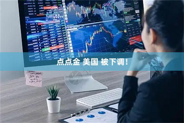 点点金 美国 被下调！