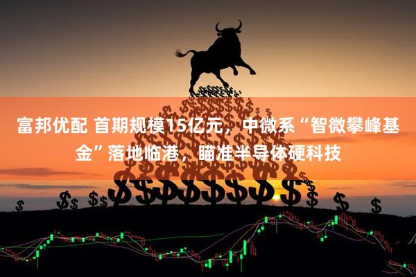 富邦优配 首期规模15亿元，中微系“智微攀峰基金”落地临港，瞄准半导体硬科技