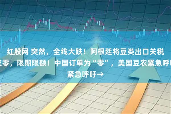 红股网 突然，全线大跌！阿根廷将豆类出口关税降至零，限期限额！中国订单为“零”，美国豆农紧急呼吁→