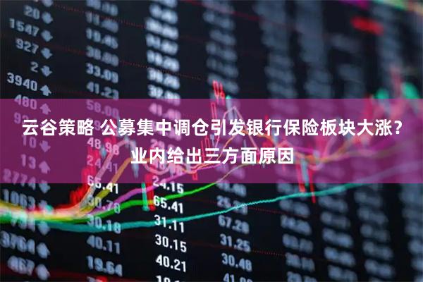 云谷策略 公募集中调仓引发银行保险板块大涨？业内给出三方面原因