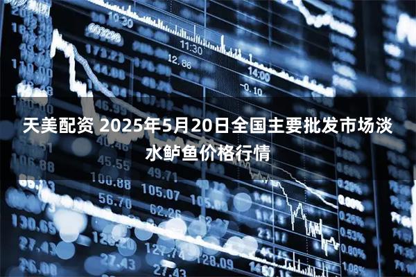 天美配资 2025年5月20日全国主要批发市场淡水鲈鱼价格行情
