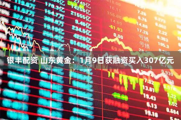 银丰配资 山东黄金：1月9日获融资买入307亿元