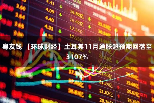 粤友钱 【环球财经】土耳其11月通胀超预期回落至3107%