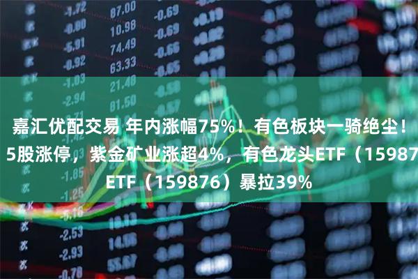 嘉汇优配交易 年内涨幅75%！有色板块一骑绝尘！还能再涨吗？5股涨停，紫金矿业涨超4%，有色龙头ETF（159876）暴拉39%
