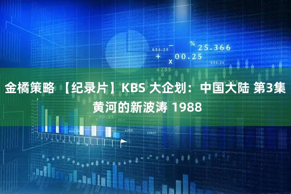 金橘策略 【纪录片】KBS 大企划：中国大陆 第3集 黄河的新波涛 1988